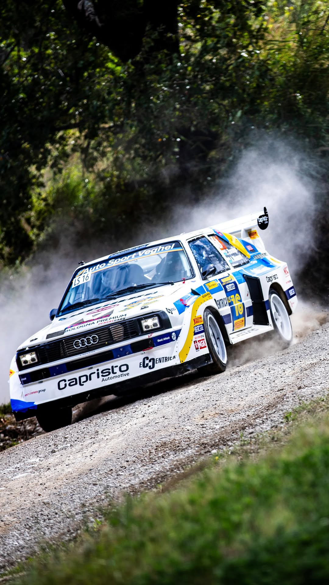 Auto Sport Veghel présent avec des Audi de rallye légendaires ! - Cars ...
