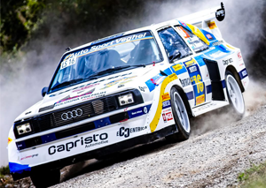 Rally & racing themaplein cars n joy festival